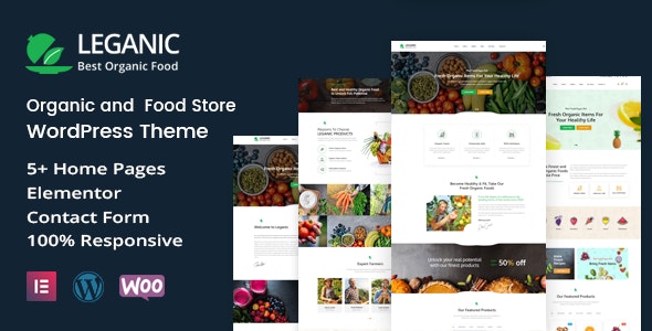 Leganic v1.2 - Organic and Food Store WordPress Theme