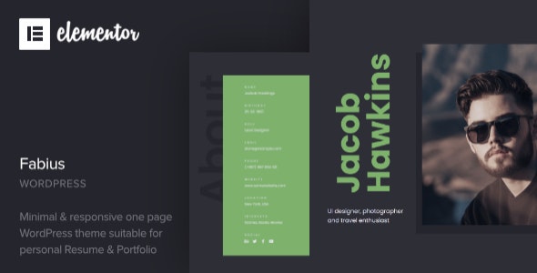 Fabius v1.0 - Resume WordPress Theme