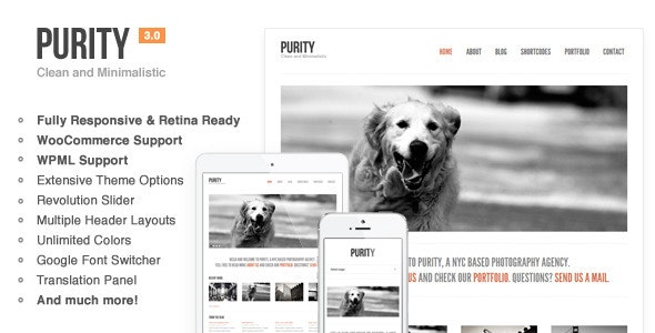 Purity v4.4.8 - Responsive, Minimal & Bold WP Theme