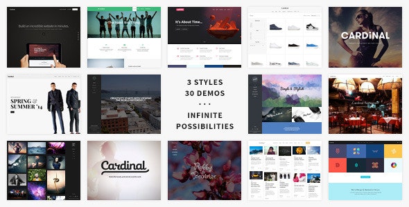 Cardinal v2.6.33 - WordPress Theme