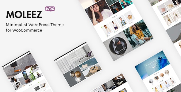 Moleez v2.3.11 - Minimalist WordPress Theme for WooCommerce