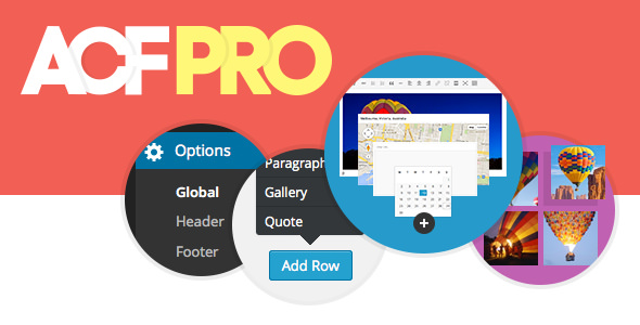 Advanced Custom Fields Pro v5.6.1