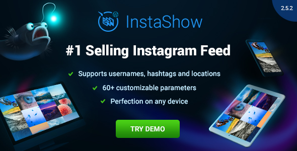 Instagram Feed v2.5.2 - WordPress Gallery for Instagram