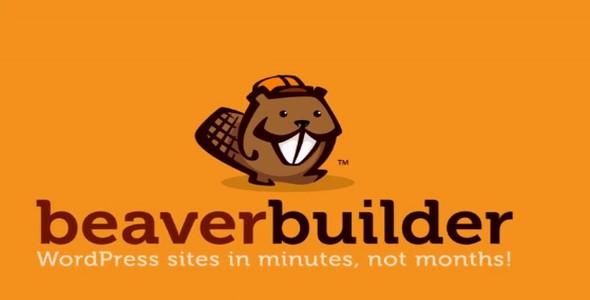 Beaver Builder Pro v2.0.2.2