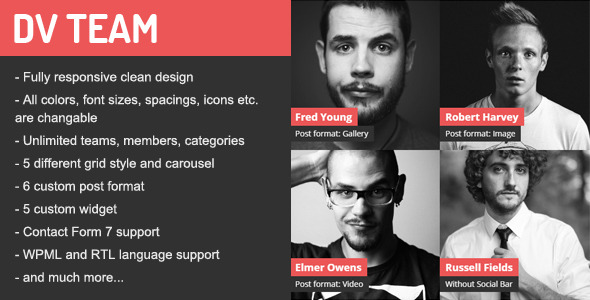 DV Team v1.7.1 - Responsive Team Showcase Plugin