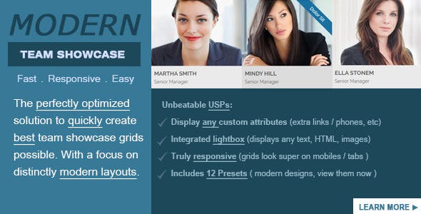 Modern Team Showcase v2.5.0 - WordPress Plugin