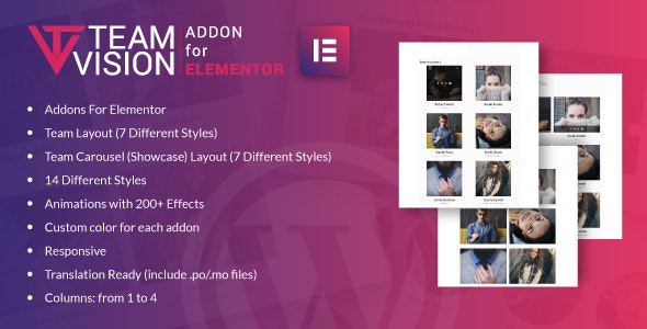 Teamvision for Elementor v1.0 - WordPress Plugin