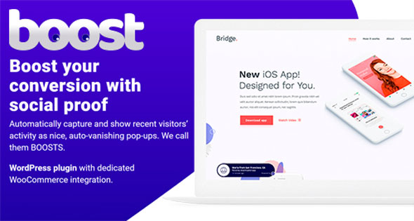 Boost v1.0.7 - WordPress Plugin