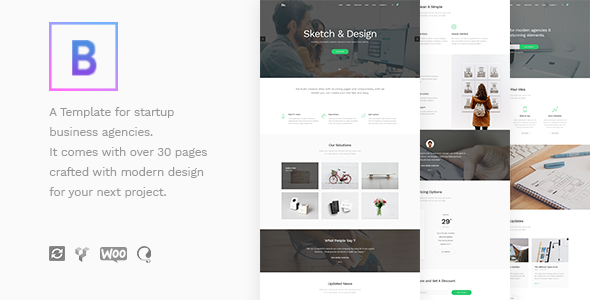 BoTheme v1.3.1 - Startup Business WordPress Theme